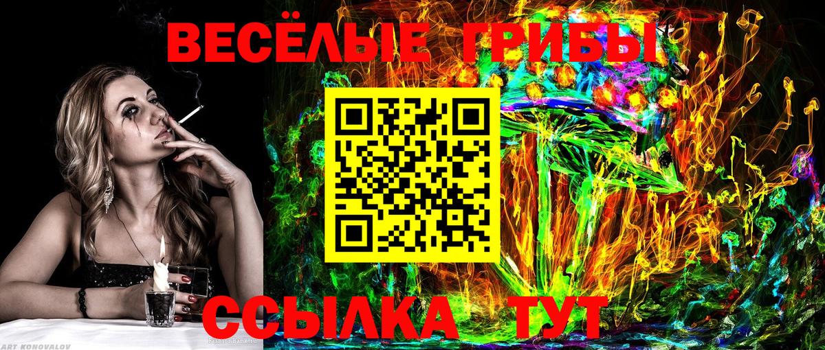 Канабис  Лсд 25  Фрязино  ГАШИШ  Мефедрон   Вход с VPN  КОКАИН 