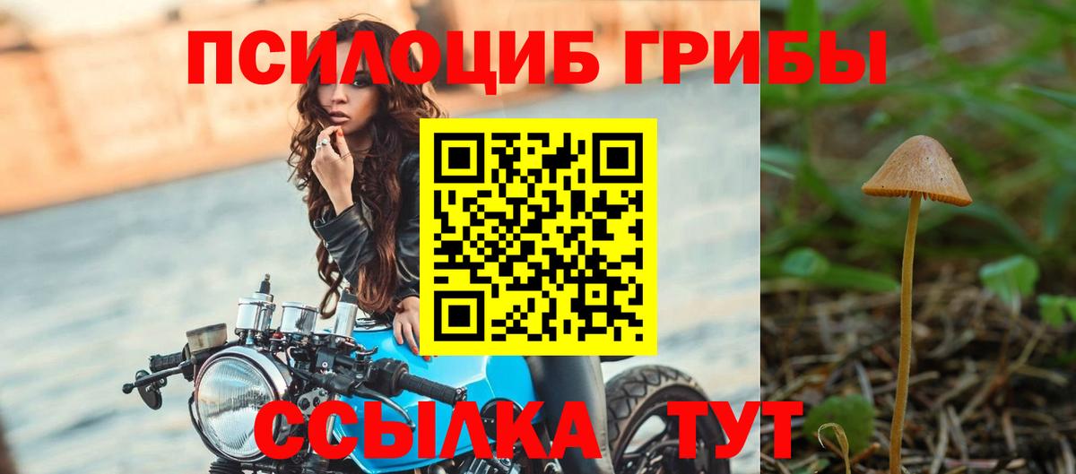 Галлюциногенные грибы MAGIC MUSHROOMS Фрязино