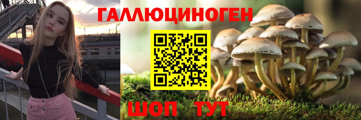 Фрязино  Псилоцибиновые грибы мухоморы  Галлюциногенные грибы Cubensis  Вход с VPN 